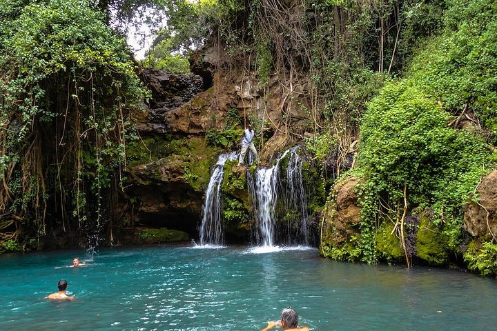 Ngare Ndare Forest