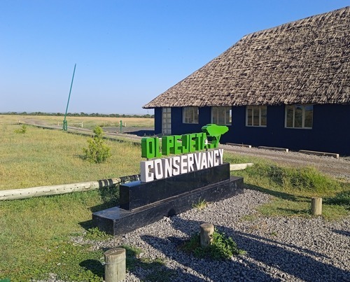 Ol Pejeta Conservancy Full Day Safari